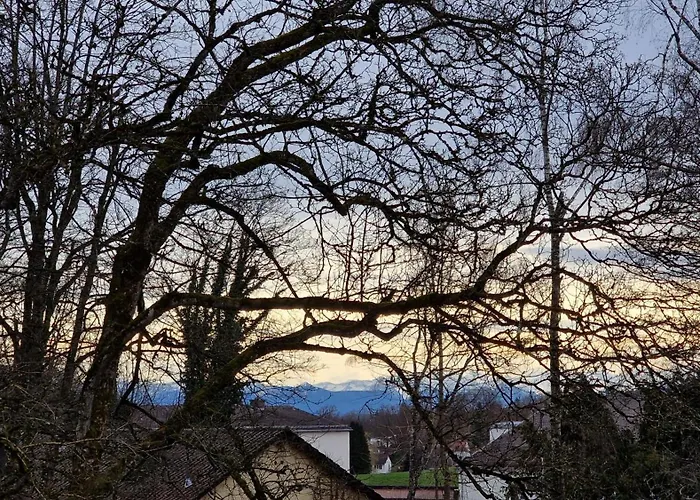 Sisi * Pocking (Starnberg)