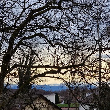 Sisi * Pocking (Starnberg)
